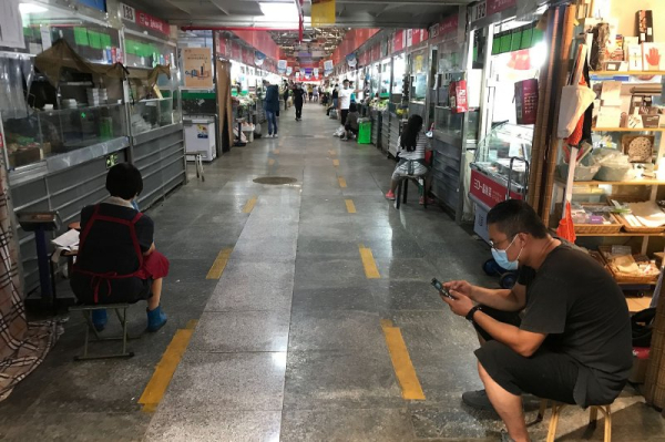 Chinese seafood imports from Japan tumble 68% in August amid ban Chinese seafood imports from Japan tumble 68% in August amid ban