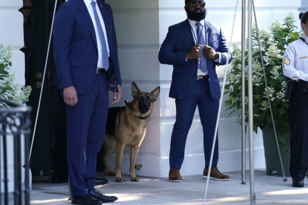 Biden family dog Commander no longer at White House following biting incidents Biden family dog Commander no longer at White House following biting incidents
