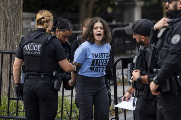 NYPD arrests Palestine supporters calling for Middle East ceasefire at large rally in Brooklyn NYPD arrests Palestine supporters calling for Middle East ceasefire at large rally in Brooklyn