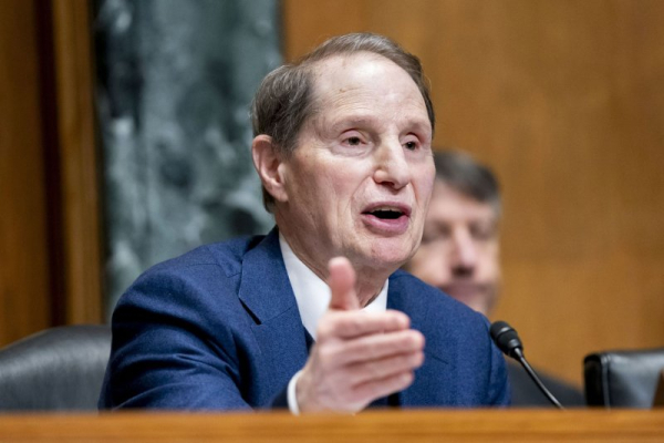 Senate GOP blocks expansion of child tax credit as parties feud over Vance remarks Senate GOP blocks expansion of child tax credit as parties feud over Vance remarks