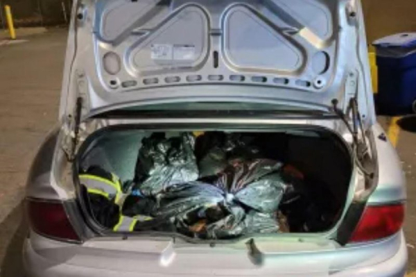 Border Patrol seizes 105 pounds of smuggled fentanyl pills in southern California Border Patrol seizes 105 pounds of smuggled fentanyl pills in southern California