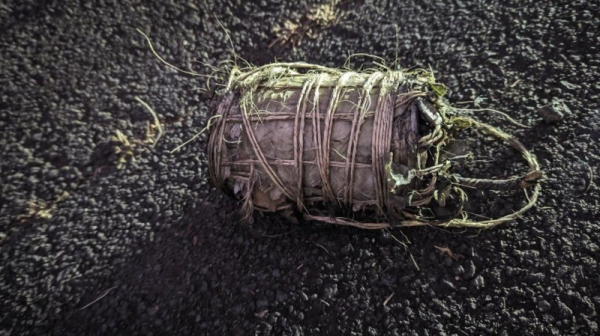 Second suspect arrested over IEDs discovered in Hawaii this summer Second suspect arrested over IEDs discovered in Hawaii this summer
