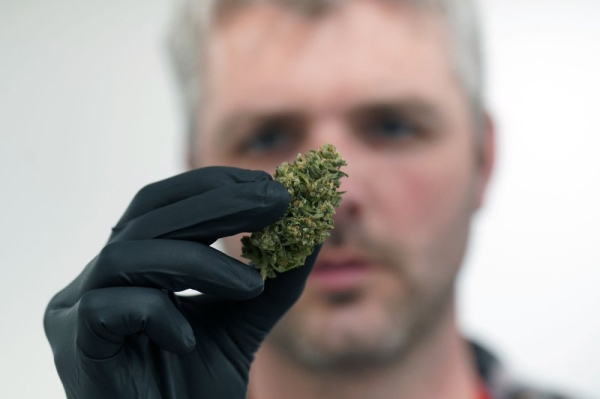 Florida vote on recreational marijuana pits hope for economic boom against fear of monopoly Florida vote on recreational marijuana pits hope for economic boom against fear of monopoly