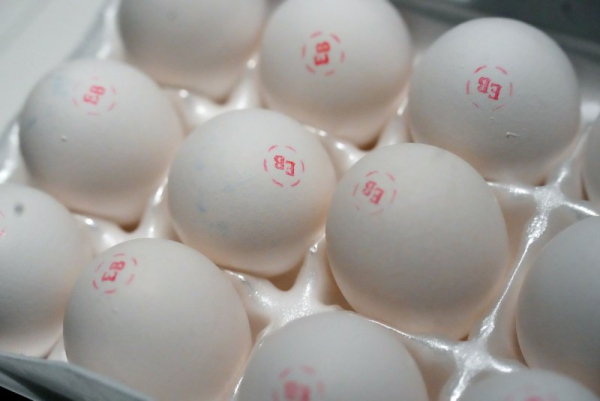 Eggs scarcer, prices soaring ahead of holiday season due to avian influenza Eggs scarcer, prices soaring ahead of holiday season due to avian influenza