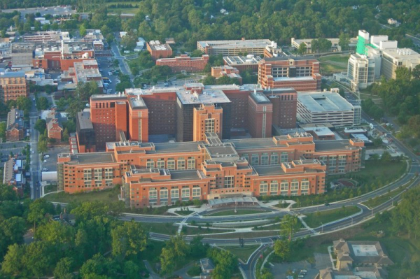 Trump taps COVID-19 lockdown skeptic to lead NIH Trump taps COVID-19 lockdown skeptic to lead NIH