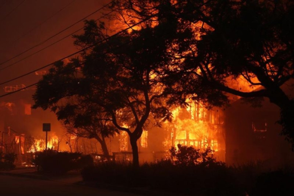 Palisades Fire, windstorm force mass evacuations as Los Angeles declares state of emergency Palisades Fire, windstorm force mass evacuations as Los Angeles declares state of emergency