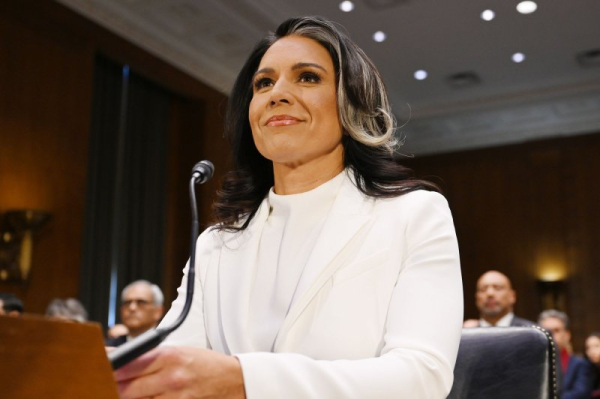 Tulsi Gabbard's support for Edward Snowden questioned by Senate intelligence panel