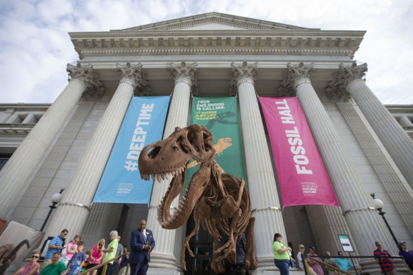 Trump orders removal of 'divisive,' 'anti-American ideology' Smithsonian exhibits Trump orders removal of 'divisive,' 'anti-American ideology' Smithsonian exhibits