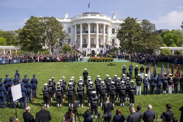 White House magnolia tree linked to President Jackson to be removed, says Trump