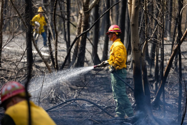 New Jersey man charged with arson in Jersey Shore wildfire