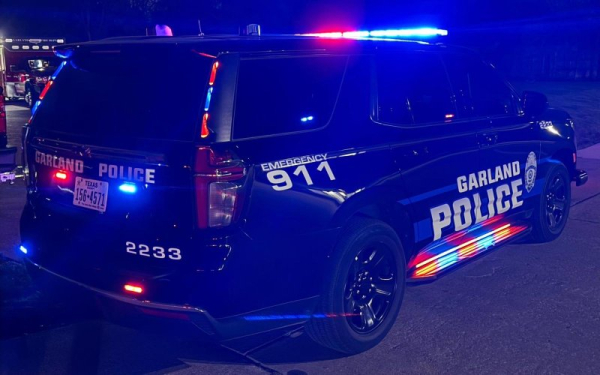 Police near Dallas investigating 'numerous' homemade bombs found near Wynne Park