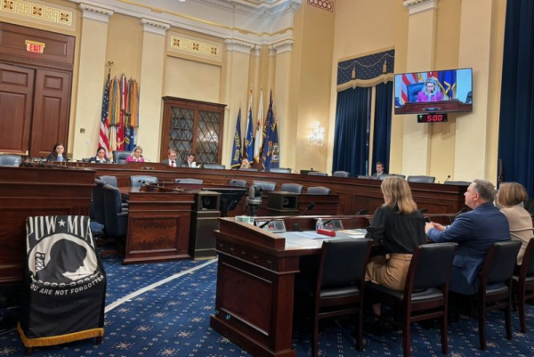 Veteran suicide prevention grant gets bipartisan support in hearings Veteran suicide prevention grant gets bipartisan support in hearings