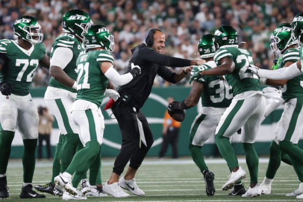 Miami Dolphins safety Ashtyn Davis sustains apparent lower leg injury