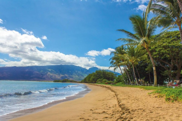 Federal judge bans commercial fishing in sensitive Hawaii ecosystem Federal judge bans commercial fishing in sensitive Hawaii ecosystem