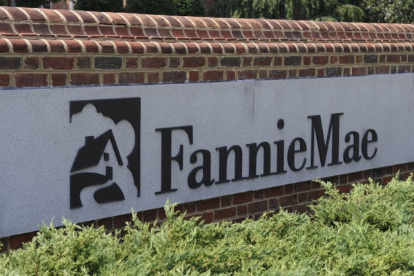 Reports: Trump considers stock IPO for Fannie Mae, Freddie Mac Reports: Trump considers stock IPO for Fannie Mae, Freddie Mac