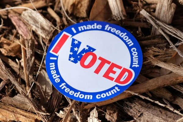 Republican wins special election for Georgia state Senate seat Republican wins special election for Georgia state Senate seat