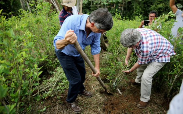 Trump: Colombia fails to live up to counter-narcotic obligations