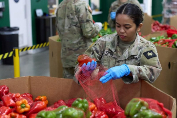 2 federal judges order continuation of SNAP benefits