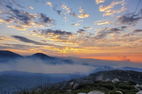 Five MS-13 members convicted for L.A. brutal murders Five MS-13 members convicted for L.A. brutal murders