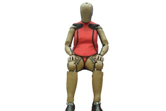 Transportation Department introduces new female crash test dummies