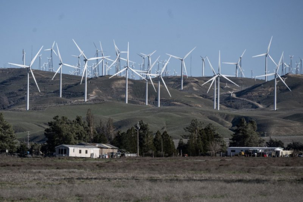 Federal judge strikes down Trump's ban on wind energy projects