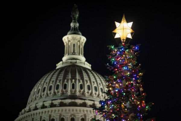 Feds offering $1 Christmas trees, cords of wood in western states