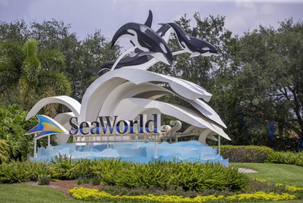 Katina, a 50-year-old killer whale, dies at SeaWorld Orlando Katina, a 50-year-old killer whale, dies at SeaWorld Orlando