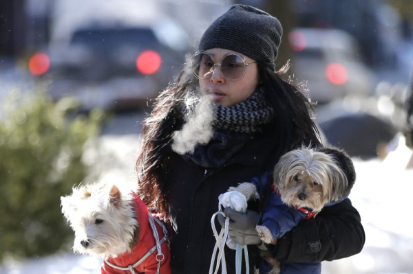 Not all pets need to bundle up in winter but many do, vets say