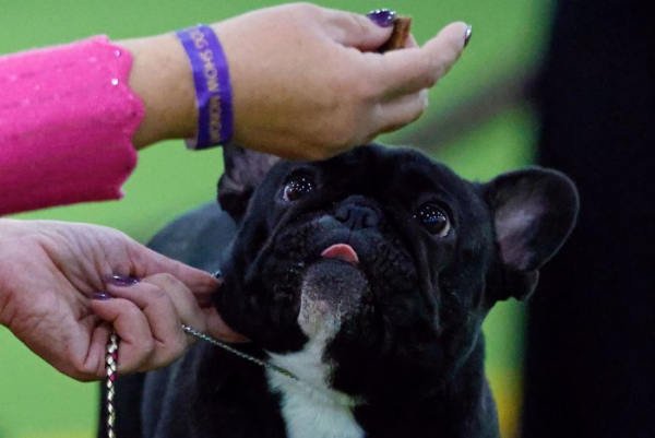 Every DHS agent in Minneapolis to wear body camera, Noem says