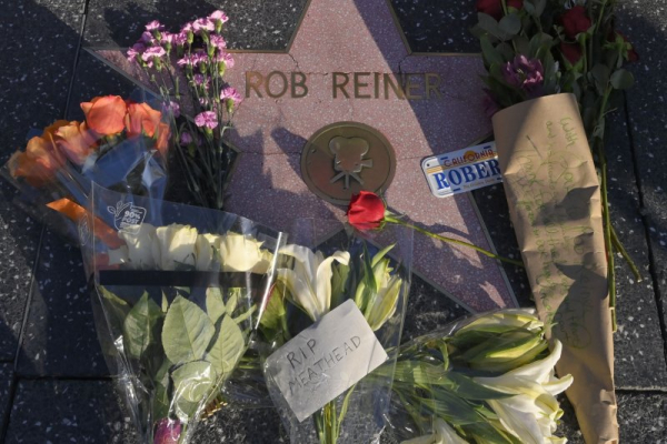 Rob Reiner's son Nick pleads not guilty to double murder charges