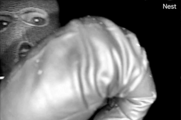 Subject in Nancy Guthrie investigation detained