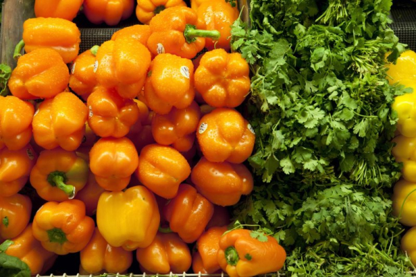 Consumer sentiment at record low because of Iran war Consumer sentiment at record low because of Iran war