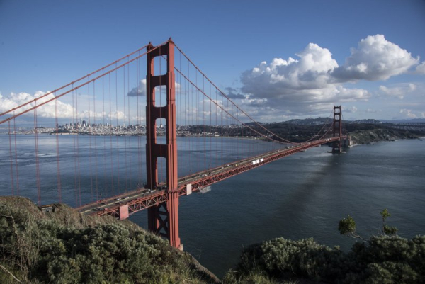 President Trump dismisses entire Presidio Trust board in San Francisco President Trump dismisses entire Presidio Trust board in San Francisco