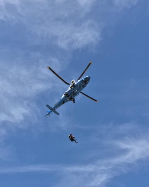 Rescuers airlift hiker stung over 100 times by bees off Arizona mountain