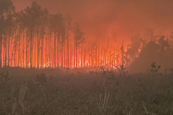 Wildfires in Georgia burn thousands of acres amid extreme drought