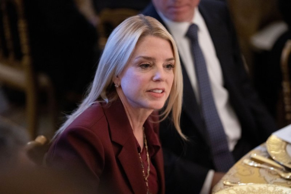 Pam Bondi testifies of 'redaction errors' in release of Epstein files