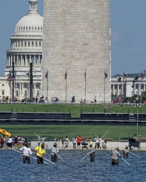 Trump, citing vandalism, says pool repairs to begin 'immediately' Trump, citing vandalism, says pool repairs to begin 'immediately'