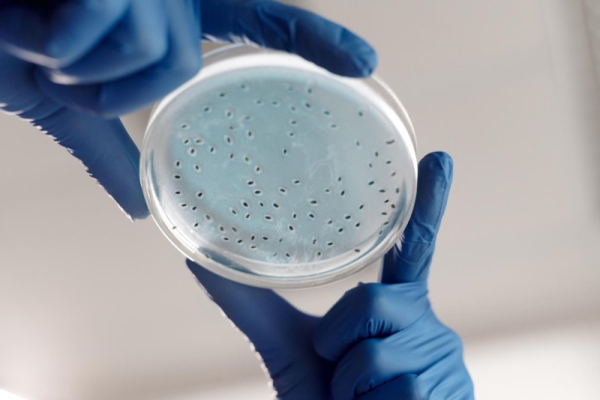 NYC Legionnaires' disease outbreak jumps to 14 confirmed cases NYC Legionnaires' disease outbreak jumps to 14 confirmed cases