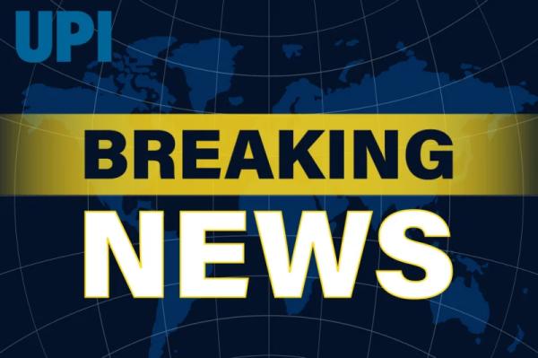 Shooting at Seattle food festival leaves 2 dead, 5 injured